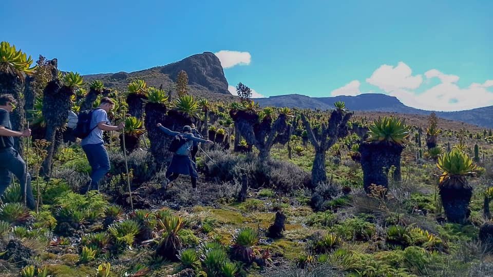 mount-elgon-hiking-experiences
